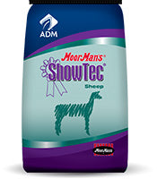 11153AE  SHOWTEC LAMB CREEP DC