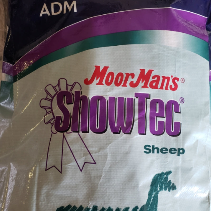 11317AM SHOWTEC 18 E-LAMB BT